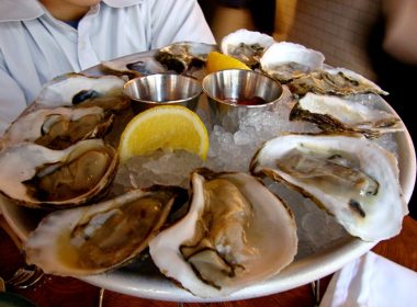 Raw Oysters professional eating